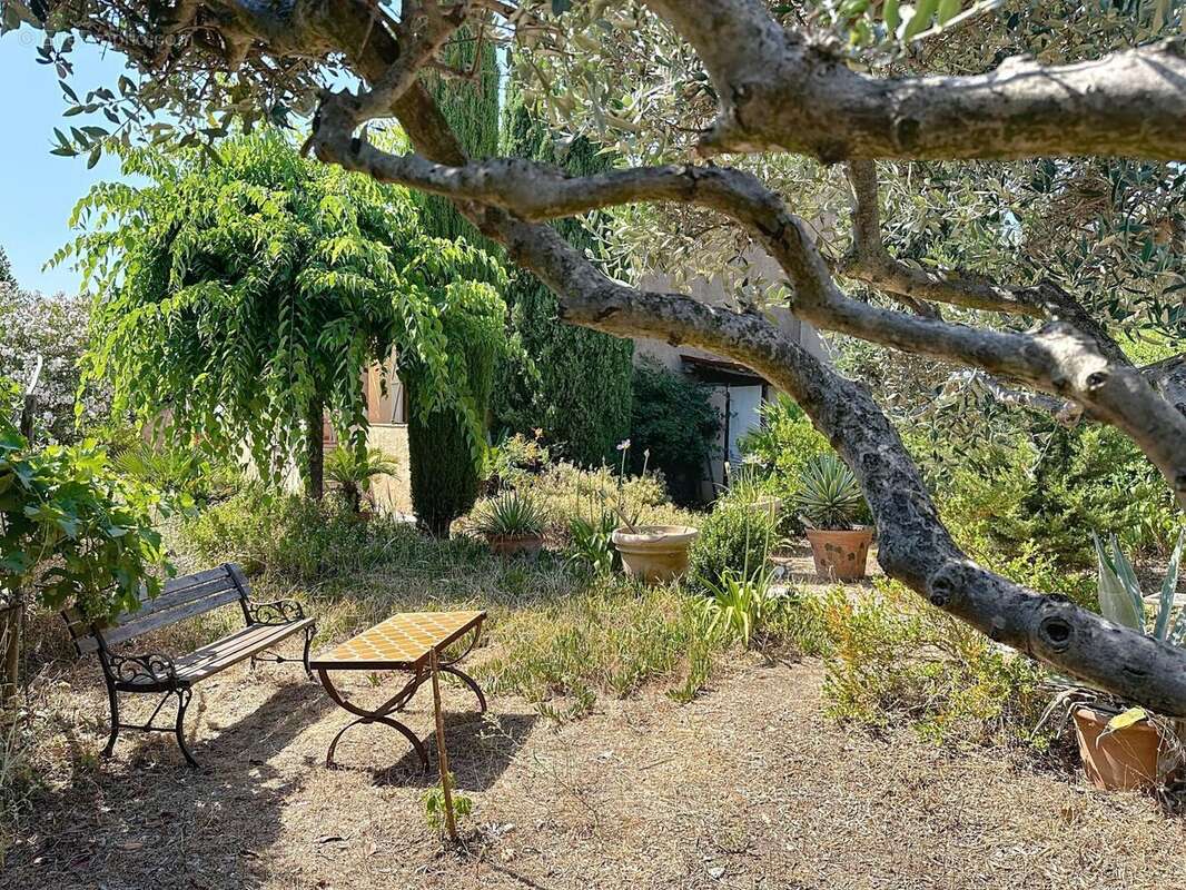 Photo 3 - Maison à SANARY-SUR-MER