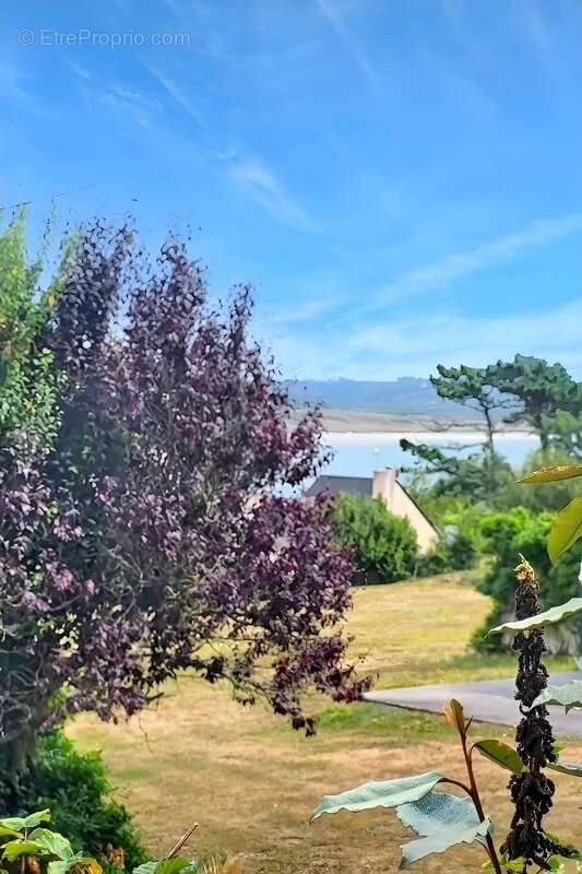 Maison à CAMARET-SUR-MER