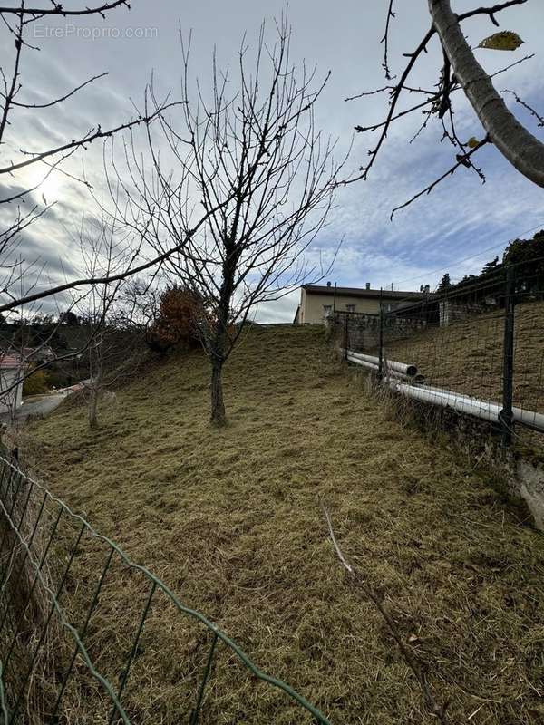 Terrain à AUREC-SUR-LOIRE