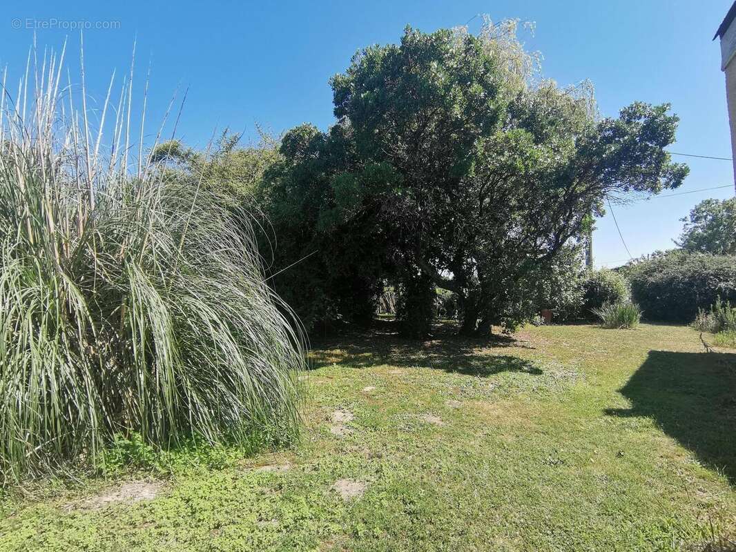 Photo 6 - Maison à REIGNAC