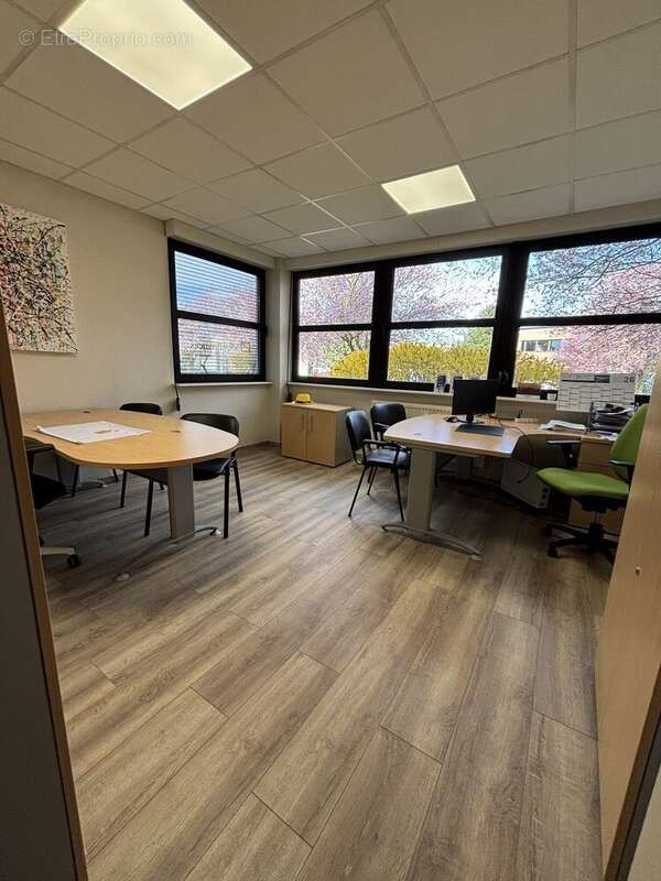 Commerce 325 m² à Oberhausbergen  - photo 7