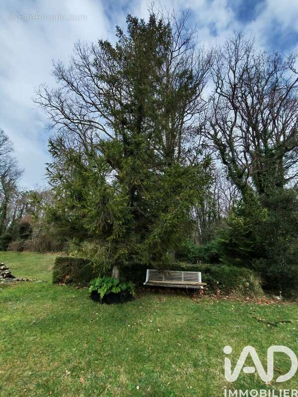 Photo 7 - Maison à SAINT-SULPICE-DE-ROYAN