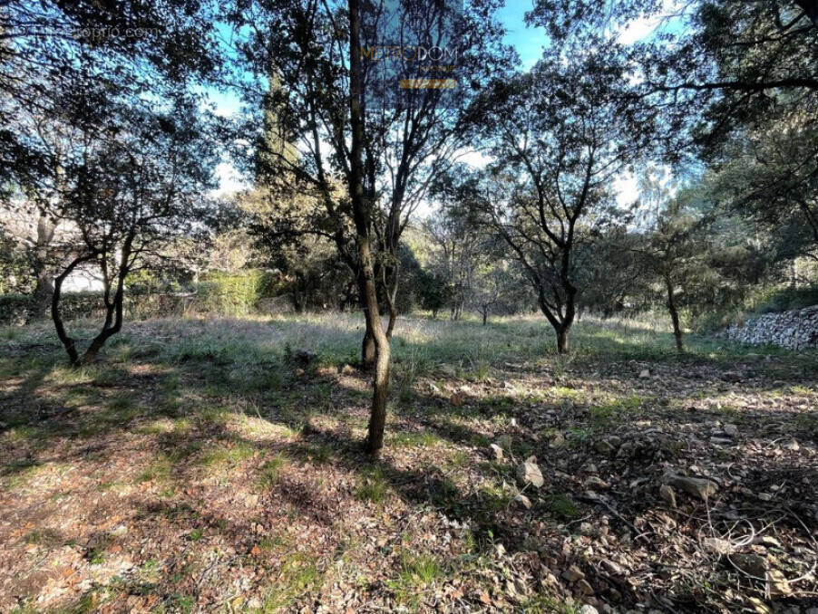 Terrain à MURVIEL-LES-MONTPELLIER