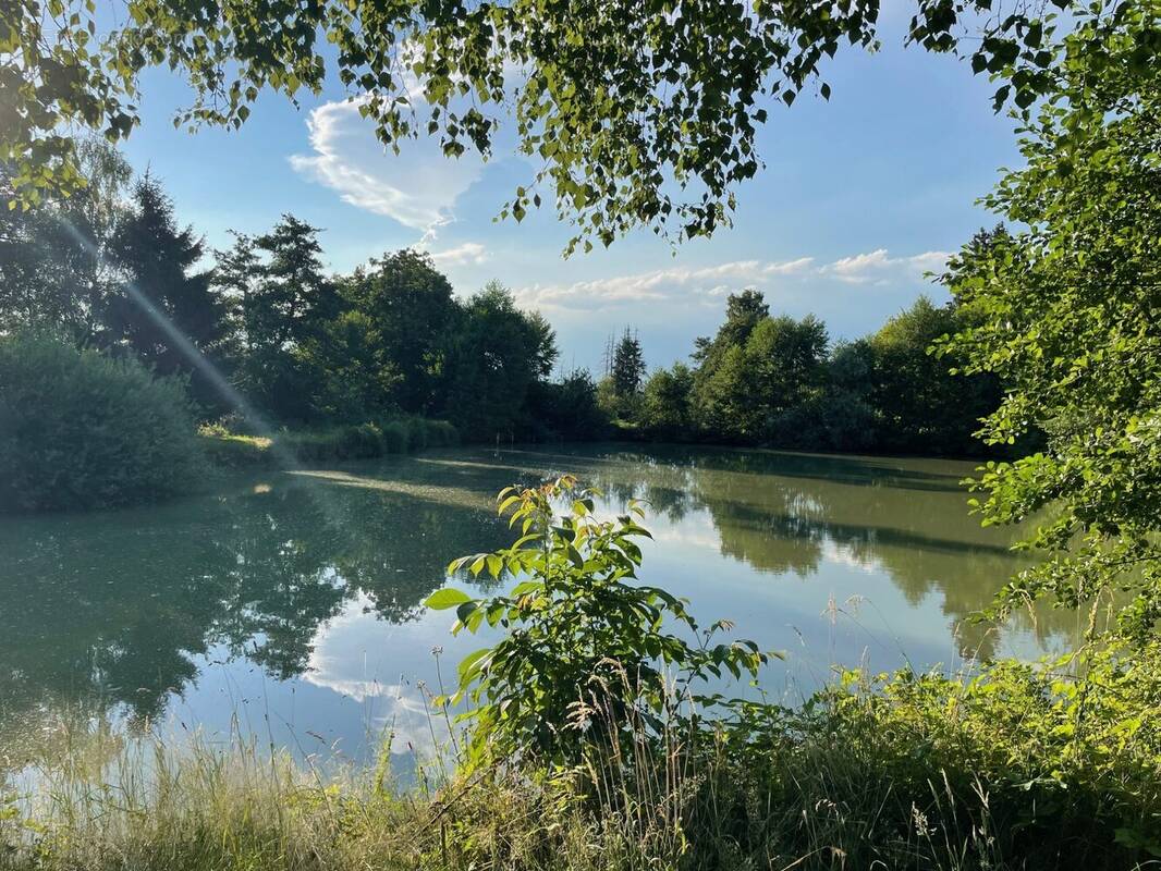 Terrain à SAINT-ULRICH