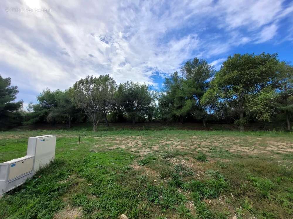 Terrain à JUVIGNAC