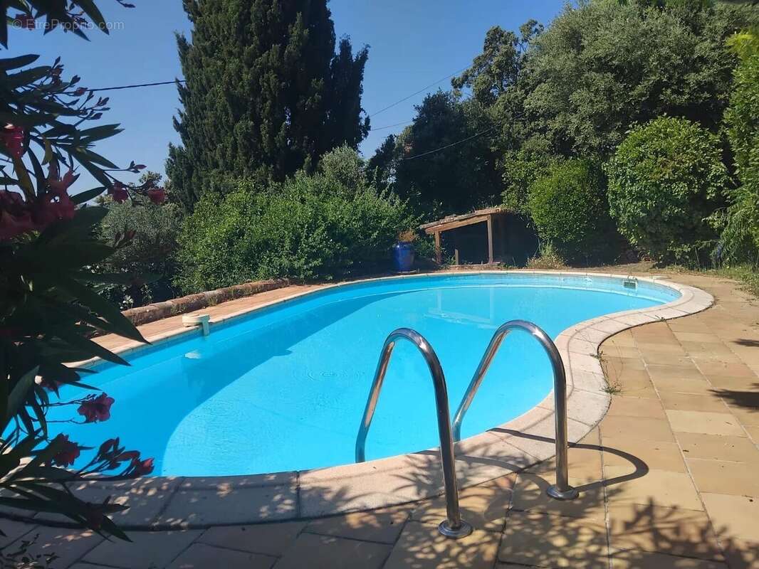 Maison à MONTFORT-SUR-ARGENS