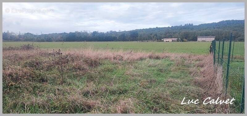 Terrain à SAINT-LIEUX-LES-LAVAUR