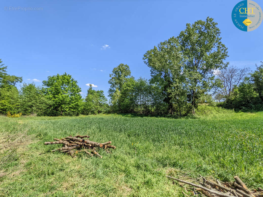 Un Manoir en Brocéliande à acheter avec CHT Immobilier - photo 43