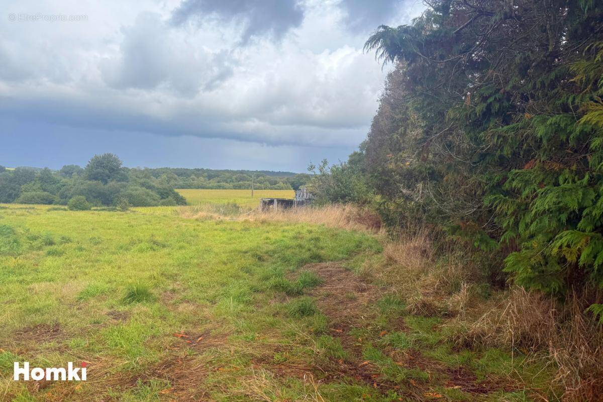 Terrain à LANGONNET