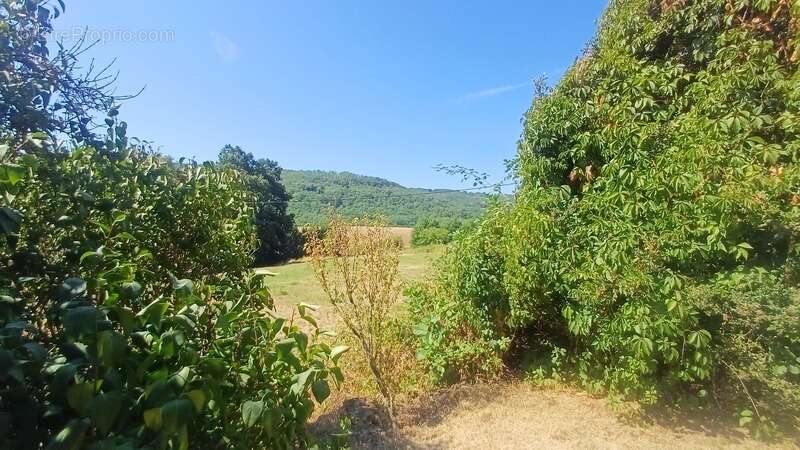 Maison à vendre 7 pièces Proche de AZERAT (24) - photo 3