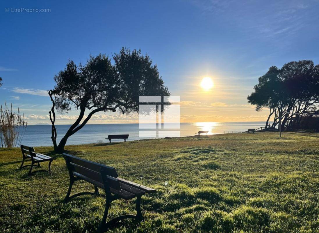 Appartement à CERVIONE