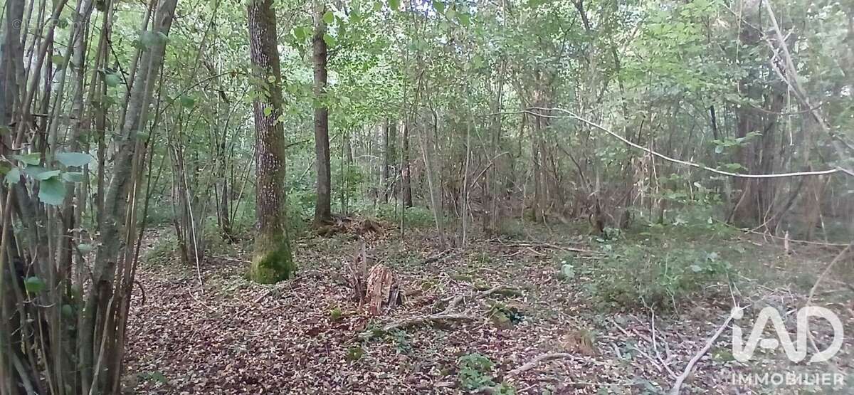 Terrain 3306 m² à Villemoutiers  - photo 3