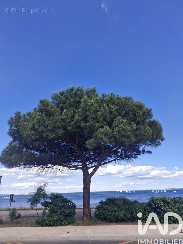 Photo 1 - Maison à MARSEILLAN