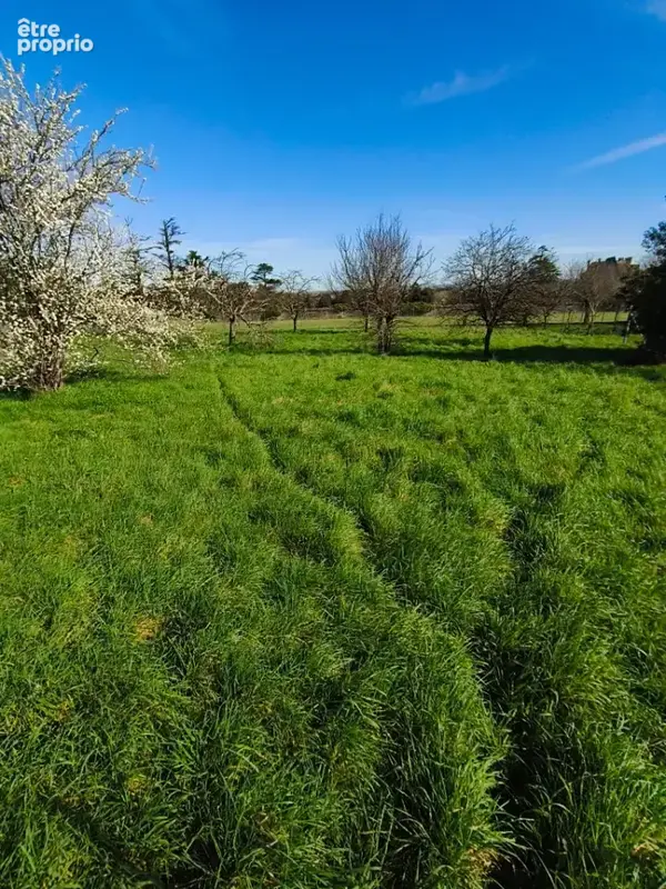 Photo Terrain à Houlette au prix de 29 000€