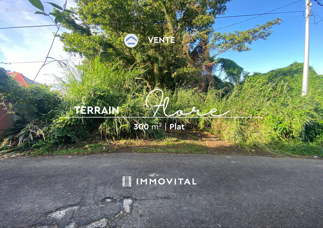 Terrain à SAINT-CLAUDE