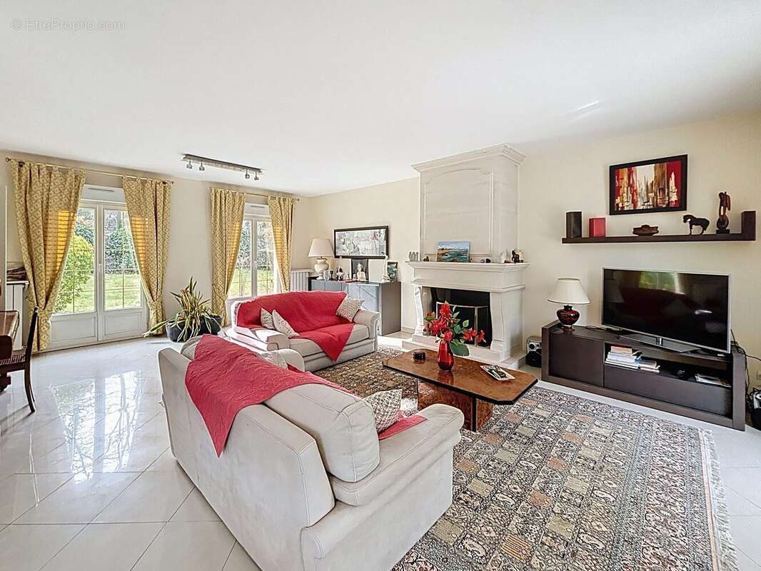 Séjour cheminée - Maison à CHATEAUFORT