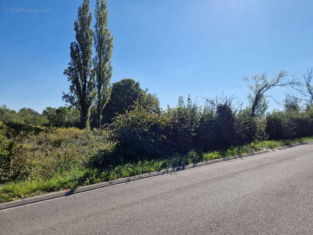 Terrain à SARREGUEMINES