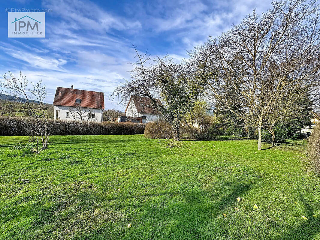 Terrain à NIEDERHASLACH