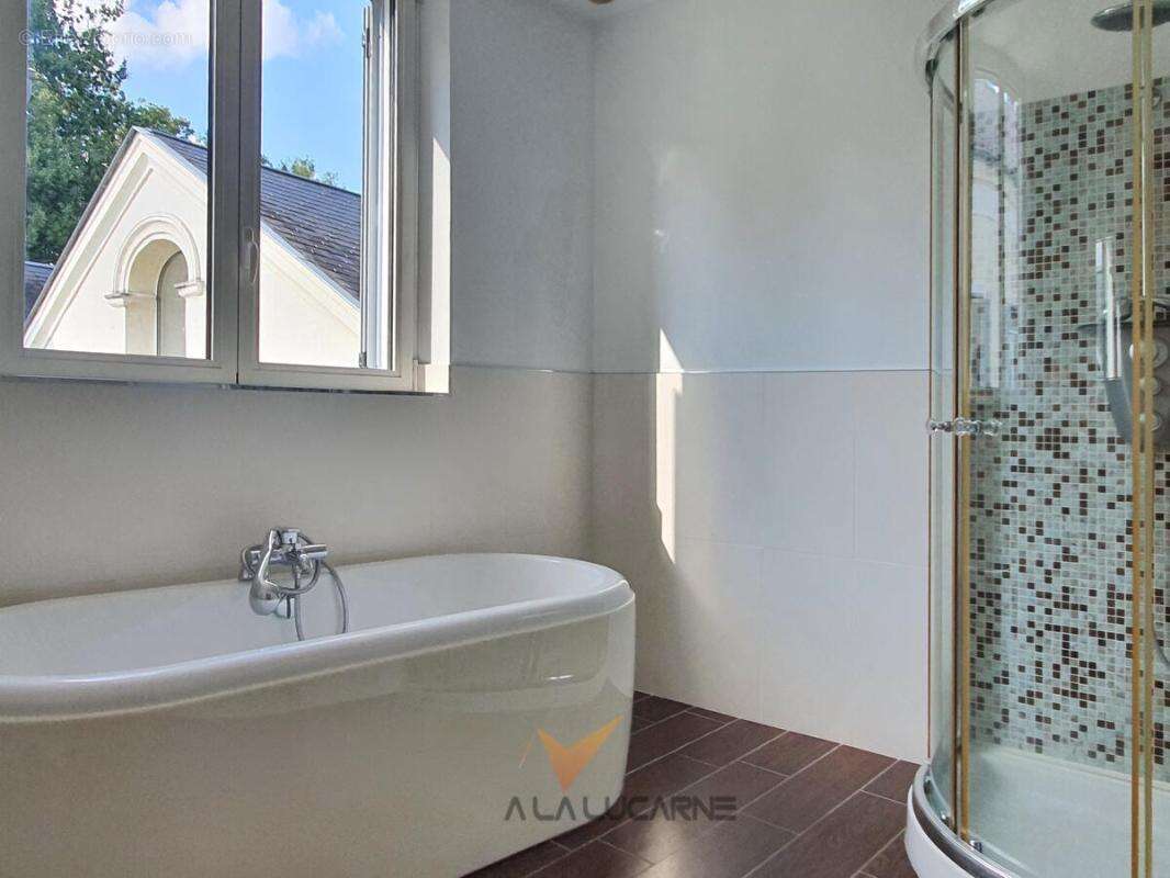 Maison 256 m² à Joue-Les-Tours  - photo 19