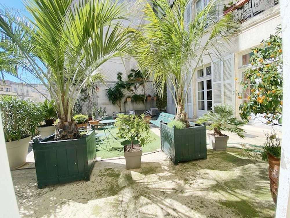 Appartement à AVIGNON