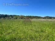 Terrain à SAINT-BRES