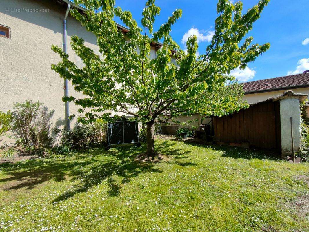 Maison 5 pièces / 114 m² / 399 500 EUR / MIRIBEL - photo 6
