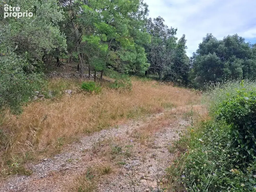 Terrain à bâtir de 3034 m² à GRASSE (06) - photo 2