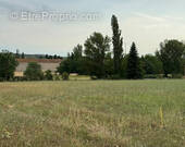 Terrain à BELVEZE-DU-RAZES