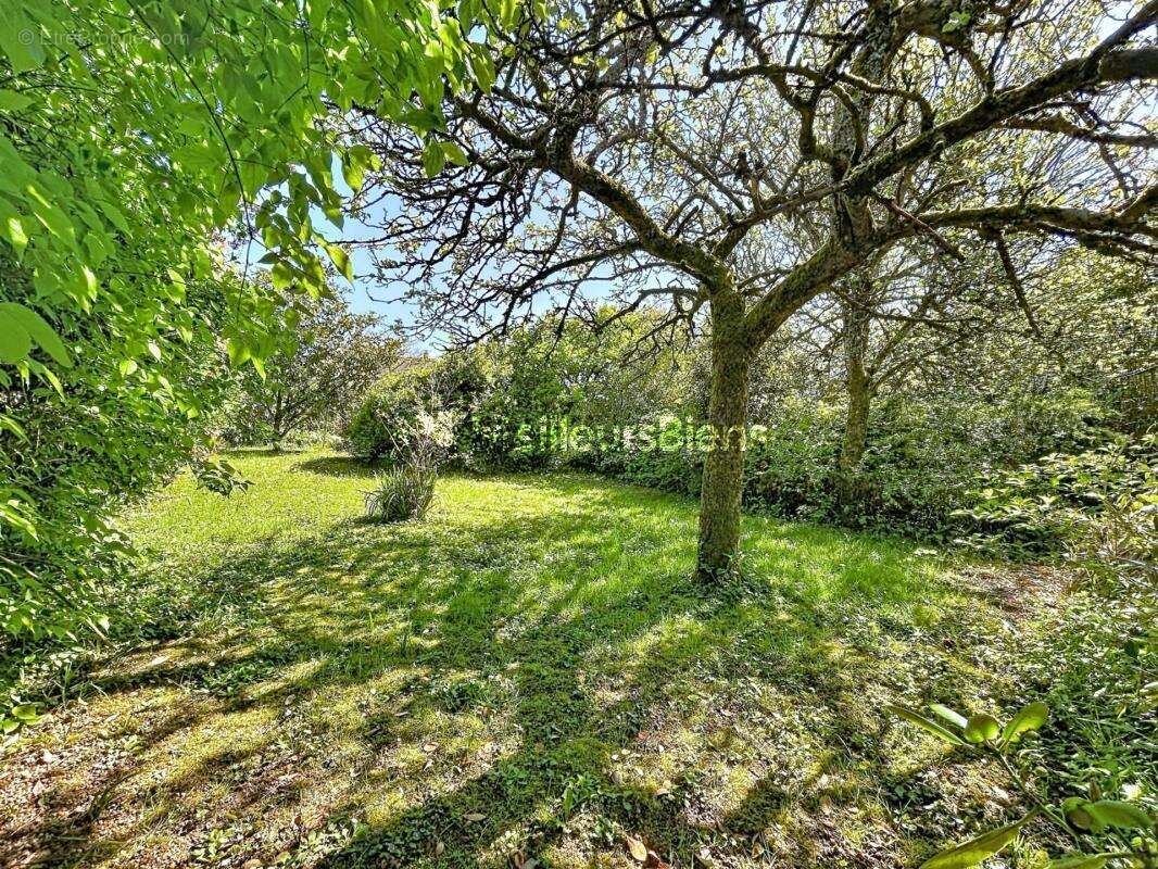 Maison à MONTREUIL-LE-GAST