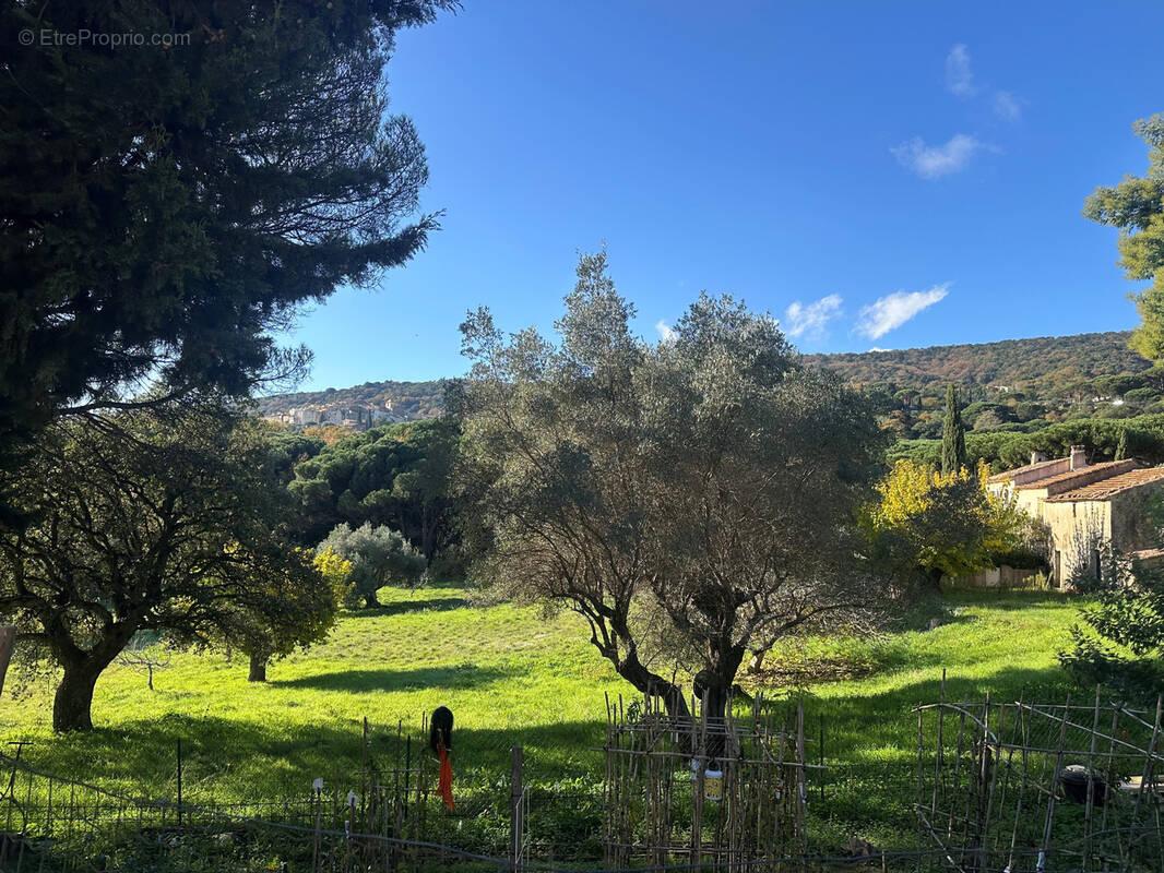 Maison à RAMATUELLE