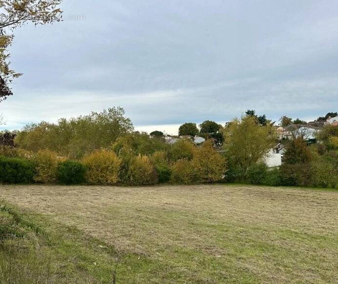 Terrain à SAINTES
