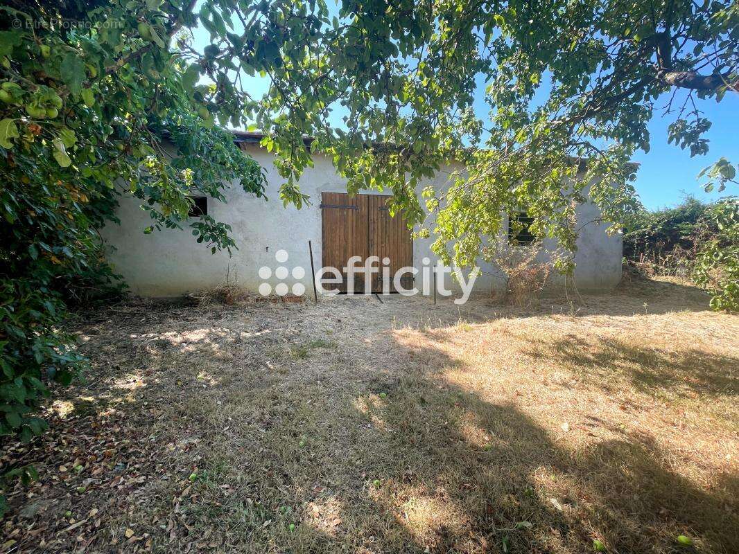 Divers maison - photo 12