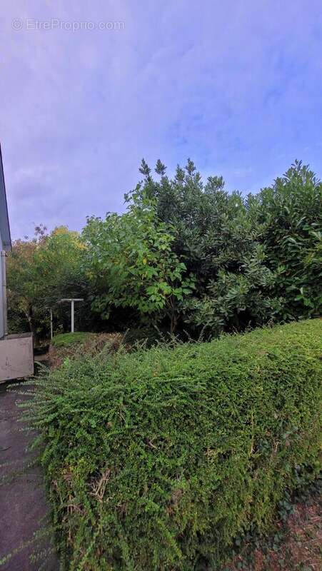 Photo 6 - Maison à L&#039;AIGLE