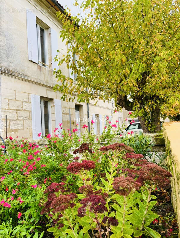 Maison à SAINT-MICHEL-DE-FRONSAC