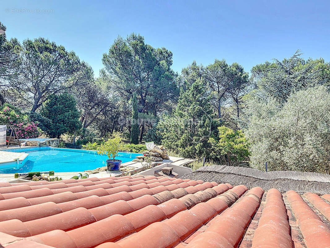 Uchaux, propriété avec gîte 205m² , possibilité revenu locatif, 4870m² de terrain arboré avec piscine - photo 23