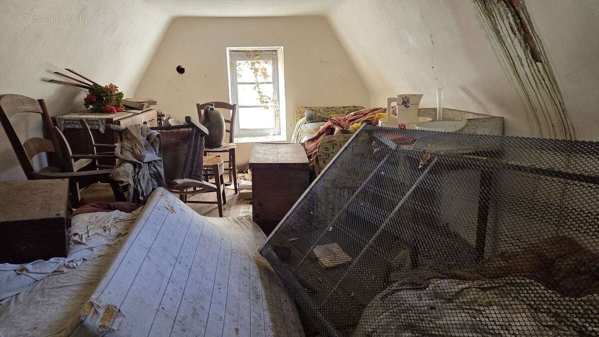 20260227111031 - Maison à SAINT-CYPRIEN