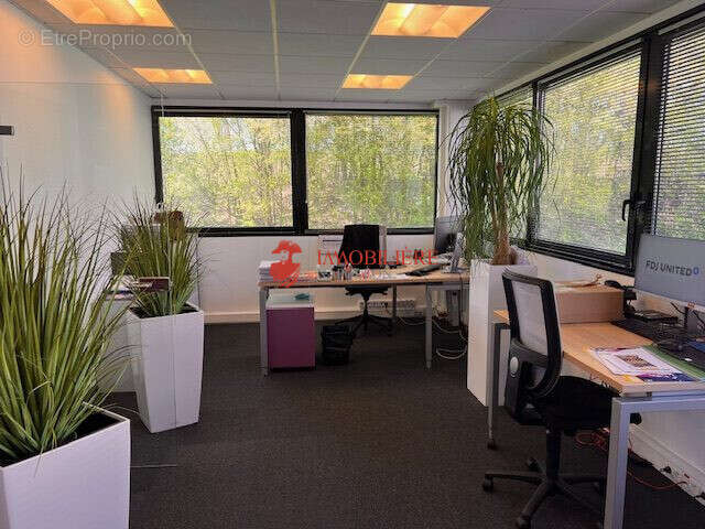 Open space 3 - Commerce à MULHOUSE