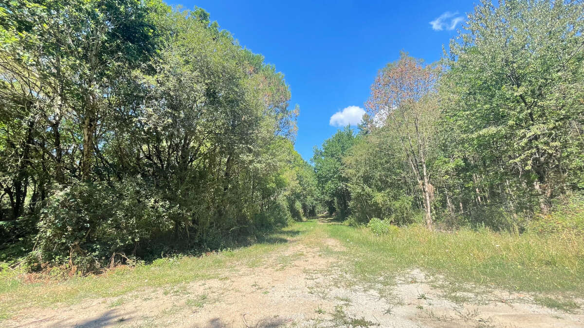 Terrain à SAINT-CHRISTOPHE-DU-LIGNERON