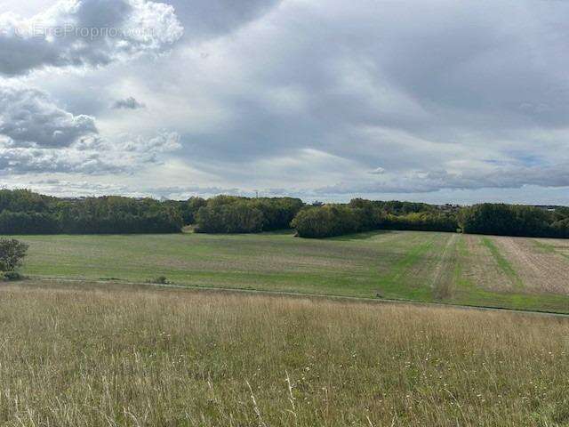 Autre à SAINT-GEORGES-LES-BAILLARGEAUX