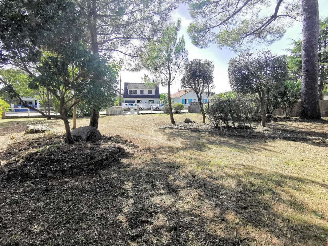 Terrain à SAINT-BREVIN-LES-PINS