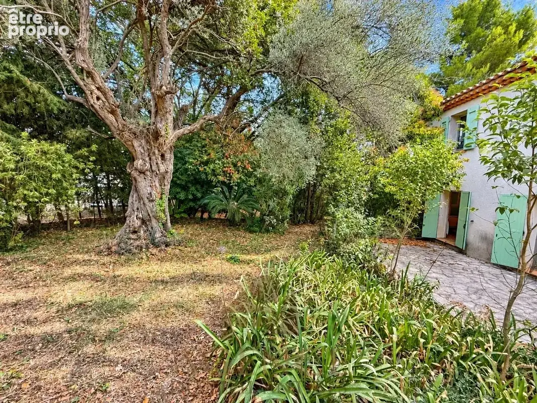 Antibes Suquette Maison avec terrain 2100m2– Authentique propriété en pierre – Environnement privilégié – Fort potentiel – Pisci - photo 24