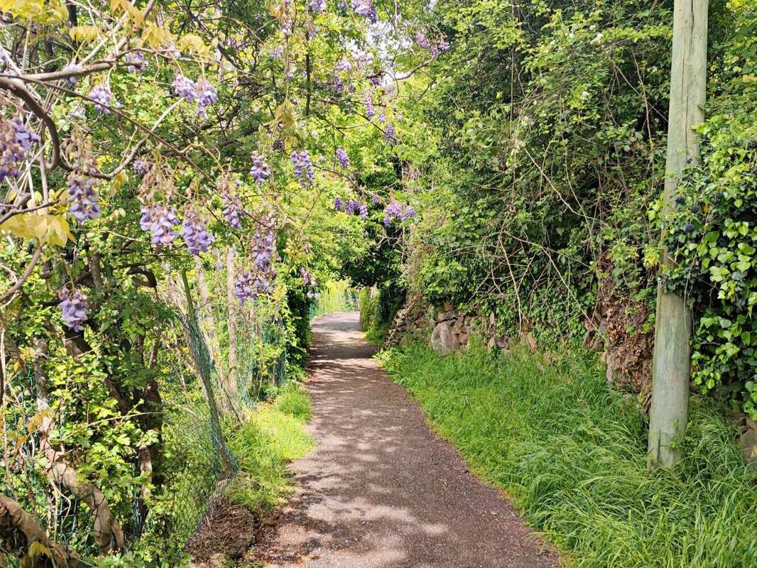 Appartement à BELVEDERE