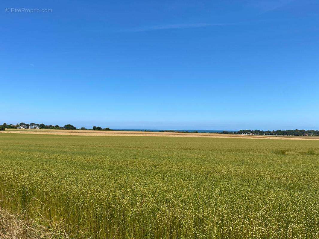 Courseulles-sur-Mer : Le privilège de l'espace et du calme, cote normande plage du débarquement - photo 12