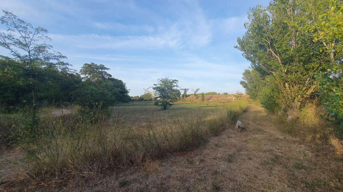 Terrain à LE PONTET