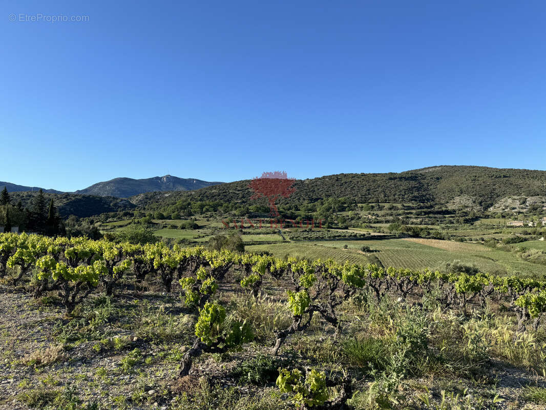 Terrain à MONTPEYROUX
