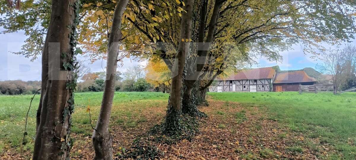 IMG_20241112_151259 - Maison à CROISSANVILLE