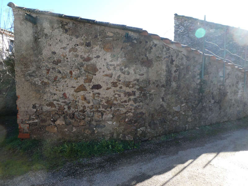Maison à vendre vigneronne ROQUESSELS (34) - photo 7