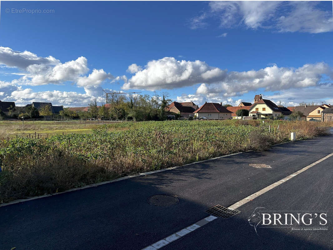 Terrain à MEYENHEIM