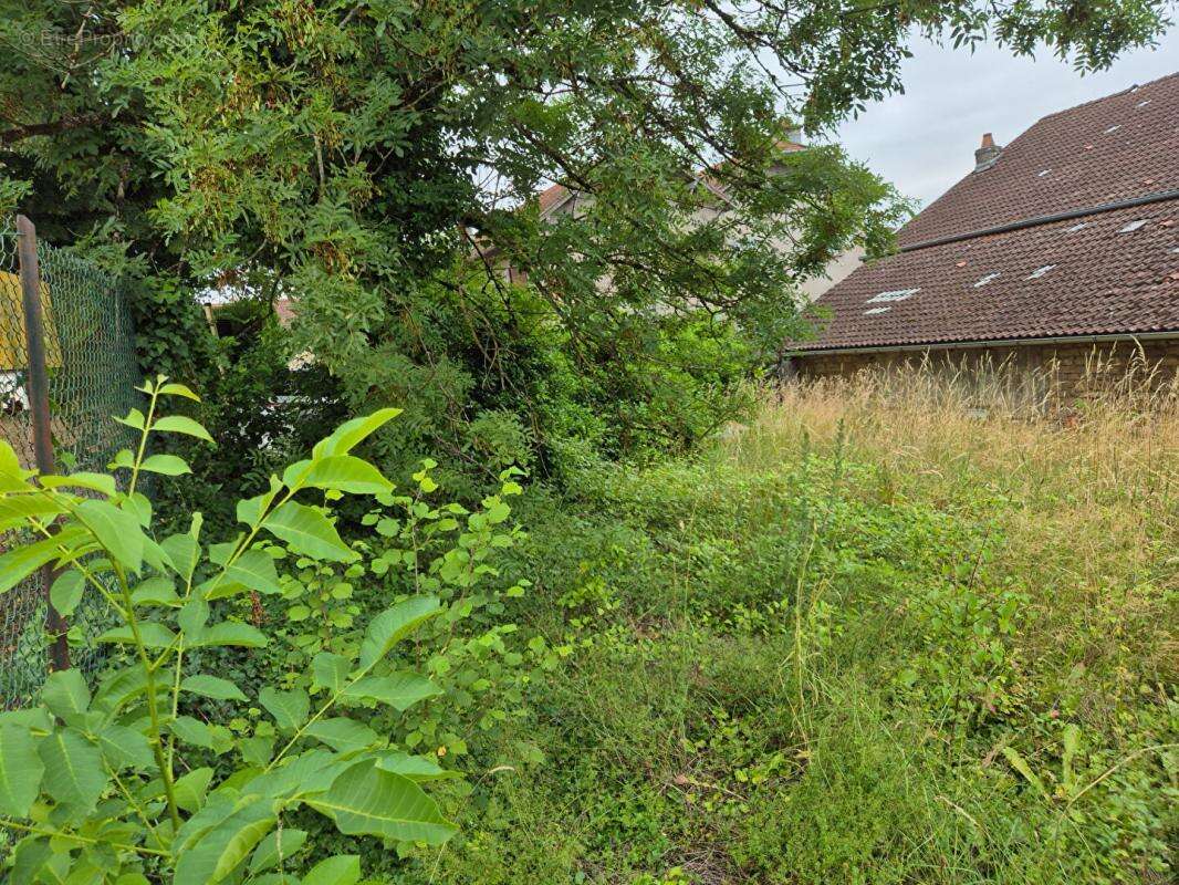 Maison à DEMANGEVELLE