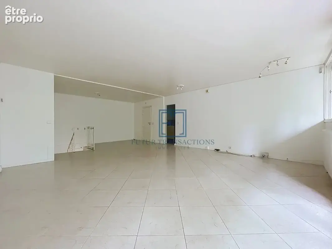 Appartement Souplex Garage et Cave - photo 3